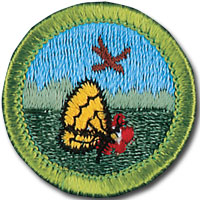nature merit badge conservation scouts boy ecology halfeagle scout scouting science america grow learn